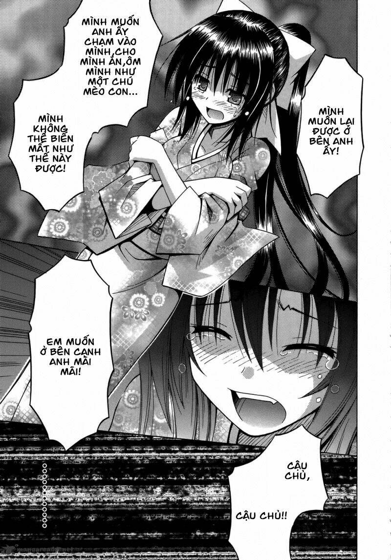 Omamori Himari Chapter 75 - Trang 2